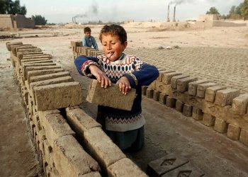 Pakistan’s Shame: Over 1.6 Million Child Laborers Trapped in Sindh’s Harsh Reality