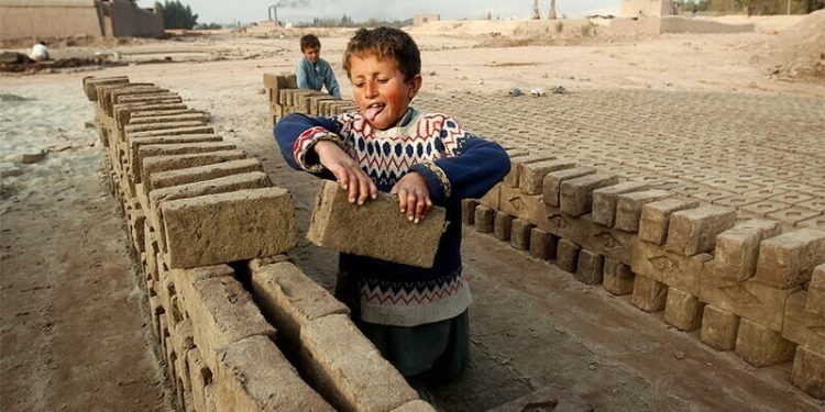 Pakistan’s Shame: Over 1.6 Million Child Laborers Trapped in Sindh’s Harsh Reality