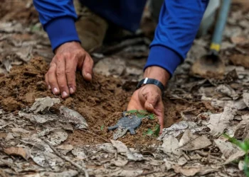 กัมพูชาปฏิเสธข้อกล่าวหาไทยเรื่องวางทุ่นระเบิดใหม่ตามแนวชายแดน ร้องผู้เชี่ยวชาญต่างชาติที่เป็นกลางร่วมตรวจสอบ