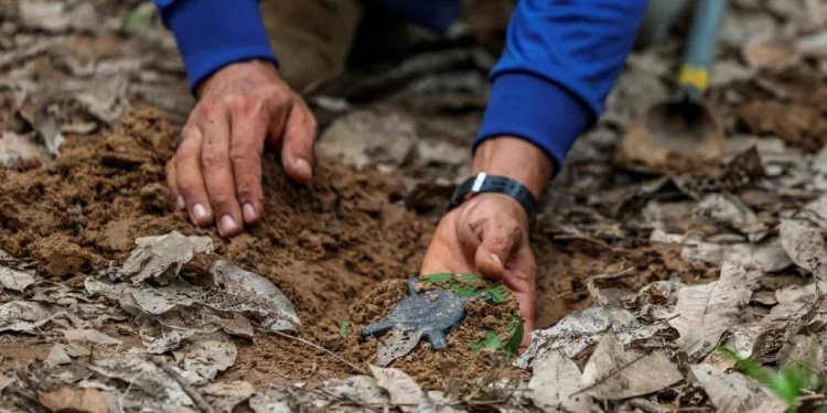 กัมพูชาปฏิเสธข้อกล่าวหาไทยเรื่องวางทุ่นระเบิดใหม่ตามแนวชายแดน ร้องผู้เชี่ยวชาญต่างชาติที่เป็นกลางร่วมตรวจสอบ