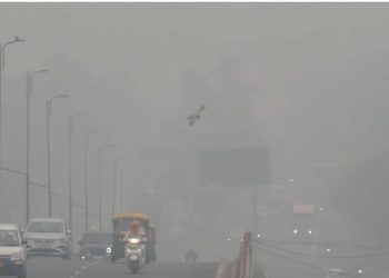 वायु प्रदूषण ‘बेहद खराब’ एम्स के डॉक्टर की सलाह-छोड़ दें दिल्ली….