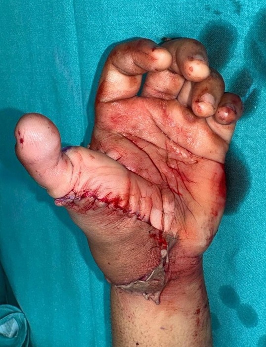 WhatsApp Image 2025 11 03 at 5.01.39 PM