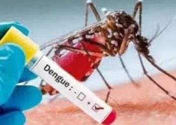 दिल्ली में डेंगू से 2 की मौत, 1136 मामले दर्ज