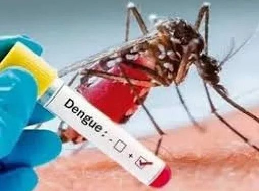 दिल्ली में डेंगू से 2 की मौत, 1136 मामले दर्ज