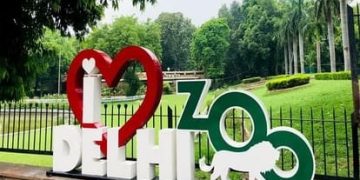 आज से खुल जायेगा दिल्ली चिड़ियाघर, 70 दिनों से था बंद