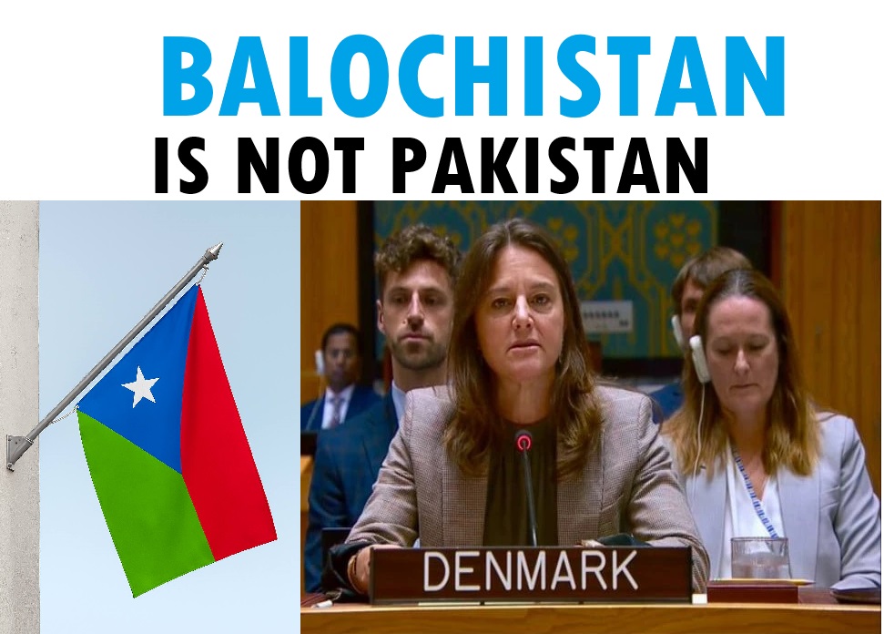 WhatsApp Image 2025 11 21 at 7.23.45 PM