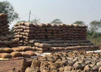 ऑनलाईन टोकन व्यवस्था से किसानों को धान बेचने में हो रही सुविधा डिजिटल सुविधाओं से धान खरीदी प्रक्रिया हुई आसान