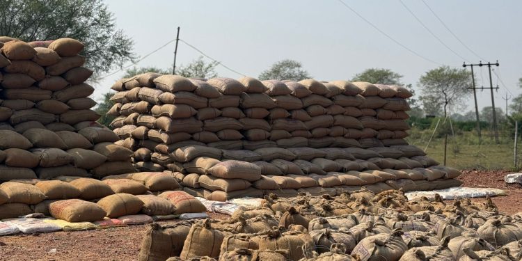 ऑनलाईन टोकन व्यवस्था से किसानों को धान बेचने में हो रही सुविधा डिजिटल सुविधाओं से धान खरीदी प्रक्रिया हुई आसान