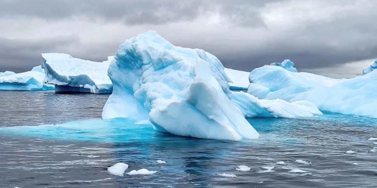 Chilling discovery in Antarctica that has scientists sounding alarm bells