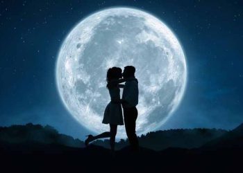 New analysis suggests kissing on lips may have evolved 21 million years ago