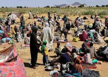 Militia attack on hospital in Darfur came in waves, WHO says