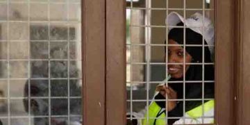 Tanzania opposition says hundreds killed in vote protests, UN calls for probe