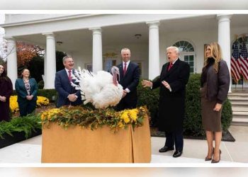 Why turkeys get pardoned by US presidents every year on Thanksgiving