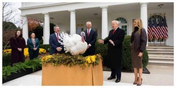 Why turkeys get pardoned by US presidents every year on Thanksgiving