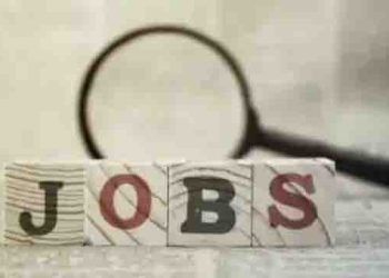 US lost jobs through late October, new private-sector data shows