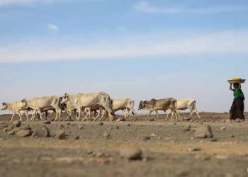 US, European Aid Cuts Could Cause 22 Million Deaths By 2030: Study