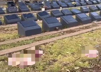 มือดีเอา ‘หัวหมู’ ทิ้งเกลื่อน ‘สุสานมุสลิม’ ในออสเตรเลีย หลังเกิดเหตุกราดยิงหมู่ที่หาดบอนได