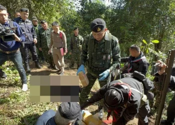 วิสามัญเป็นผีเฝ้าป่า 3 ศพ! ทหารพรานปะทะแก๊งขนยาชายแดนแม่อาย ยึดยาบ้าอีกครึ่งล้าน