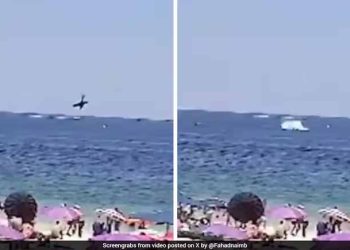 On Camera, Small Plane Crashes Into Sea In Brazil, Pilot Dies