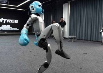 Does China have a robot bubble?