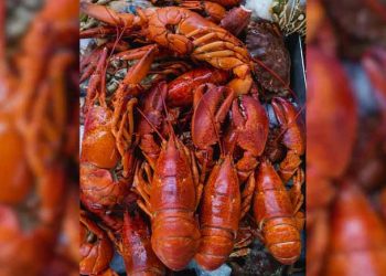 $400,000 Lobster, 40,000 Oysters Stolen In New England Seafood Heist