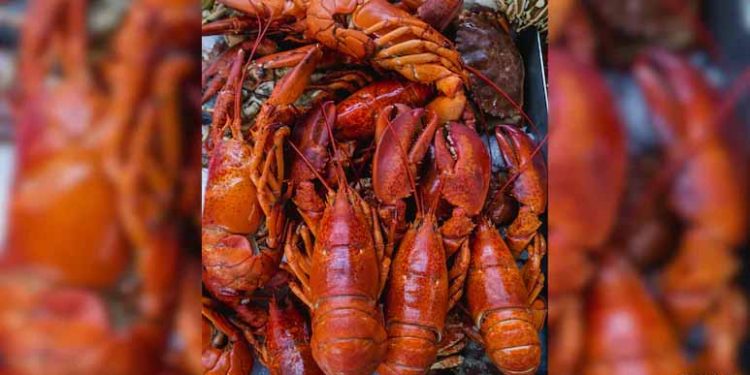 $400,000 Lobster, 40,000 Oysters Stolen In New England Seafood Heist