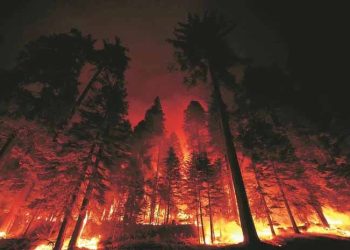 Wildfires rage in Australia, destroy 40 homes, kill one firefighter