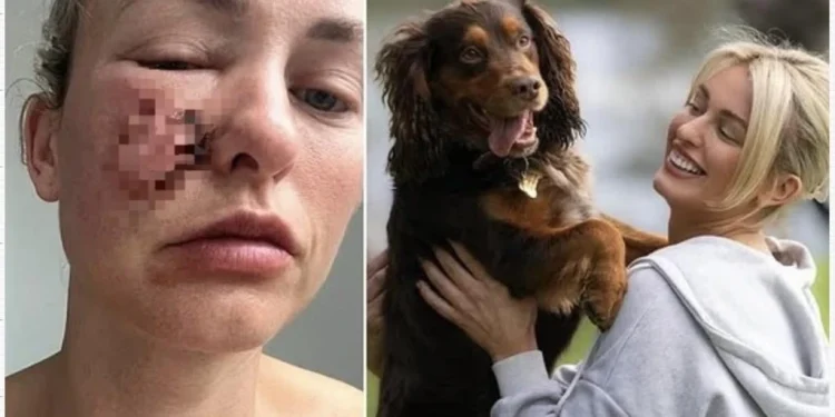 ยอมเจ็บแต่จบ! เปิดเบื้องหลังเจ้าของใจสลาย ตัดใจการุณยฆาตสุนัขแสนรักหลังถูกกัดปางตาย ชี้คือความรับผิดชอบสูงสุดต่อสังคม