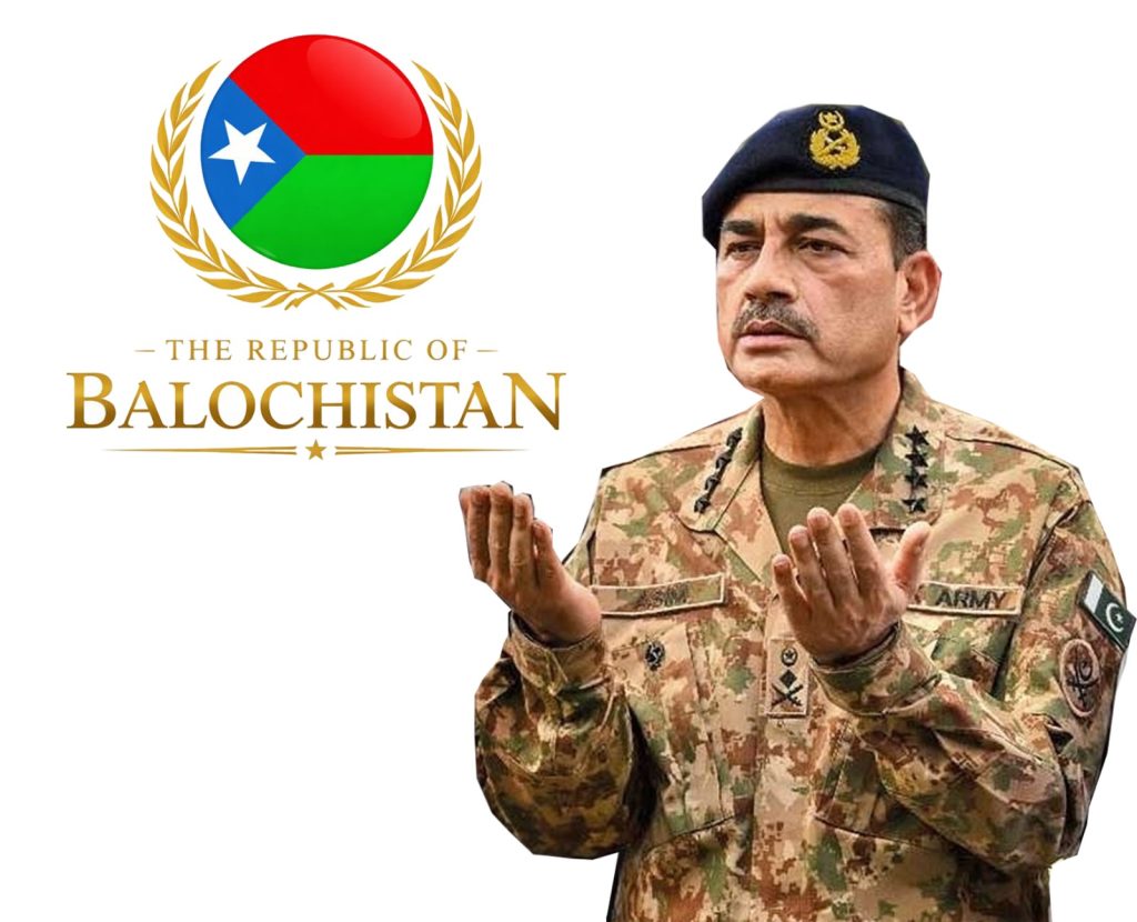 WhatsApp Image 2026 01 12 at 11.28.37 AM