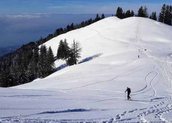 Cross-Country Skier Dies In France After 20-Metre Fall