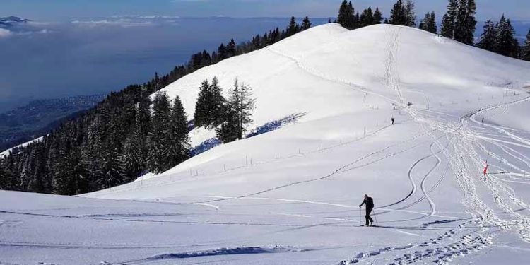 Cross-Country Skier Dies In France After 20-Metre Fall 1 Cross-Country Skier Dies In France After 20-Metre Fall