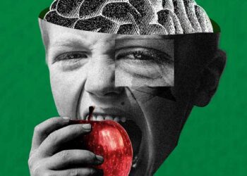 Brain bran: The protective effect that fibre has on cognition