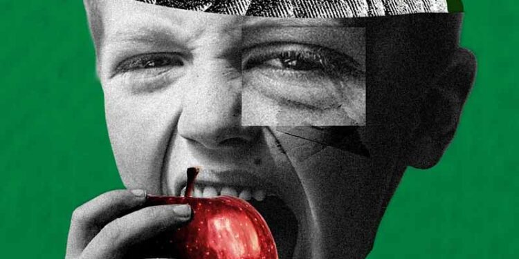 Brain bran: The protective effect that fibre has on cognition