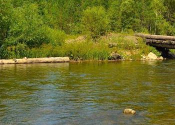 Invasive “Alien” Fish Spreads In Pakistani Waters, Threatens Biodiversity