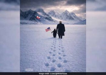 Trump Joins ‘Penguin Meme’ Trend With Cryptic Post On Greenland