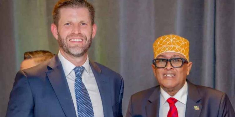Somaliland president pitches business opportunities to Trump’s son