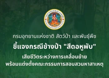 กรมอุทยานฯ ชี้แจงกรณีช้างป่า “สีดอหูพับ” เสียชีวิตระหว่างการเคลื่อนย้าย พร้อมแต่งตั้งคณะกรรมการสอบสวนหาสาเหตุ
