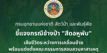 กรมอุทยานฯ ชี้แจงกรณีช้างป่า “สีดอหูพับ” เสียชีวิตระหว่างการเคลื่อนย้าย พร้อมแต่งตั้งคณะกรรมการสอบสวนหาสาเหตุ