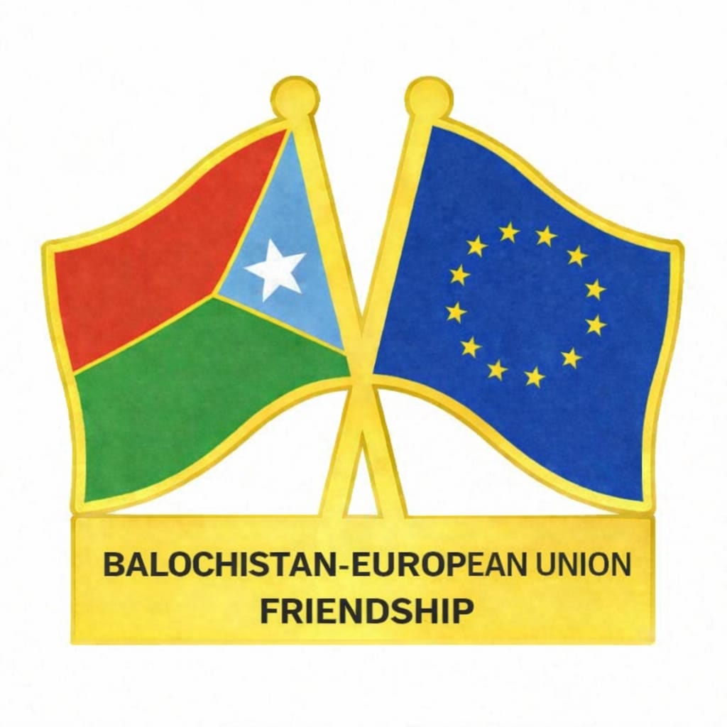 WhatsApp Image 2026 02 01 at 8.13.28 PM