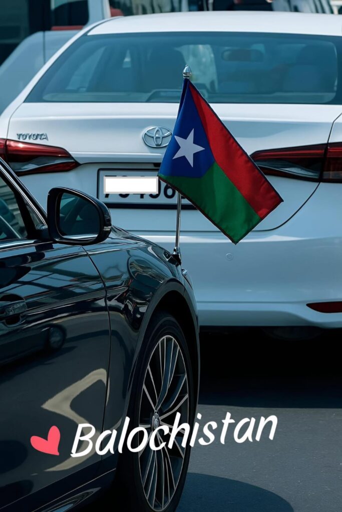 WhatsApp Image 2026 02 05 at 10.25.55 PM