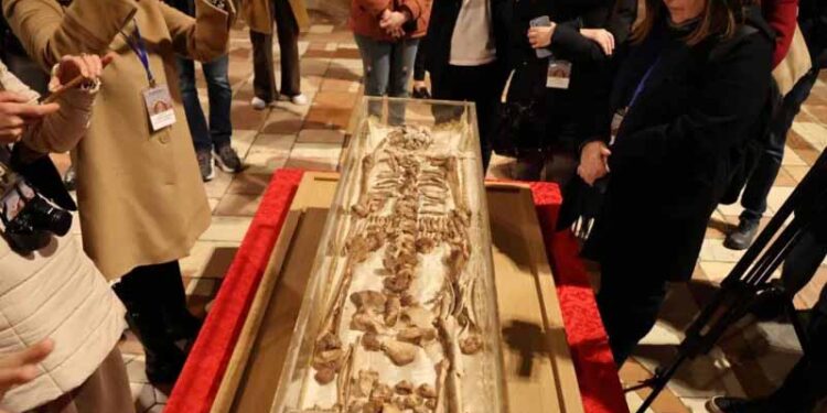 Bones of St Francis of Assisi go on public display in Italy 1 Bones of St Francis of Assisi go on public display in Italy