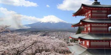 Japanese city cancels cherry blossom festival over badly behaved tourists