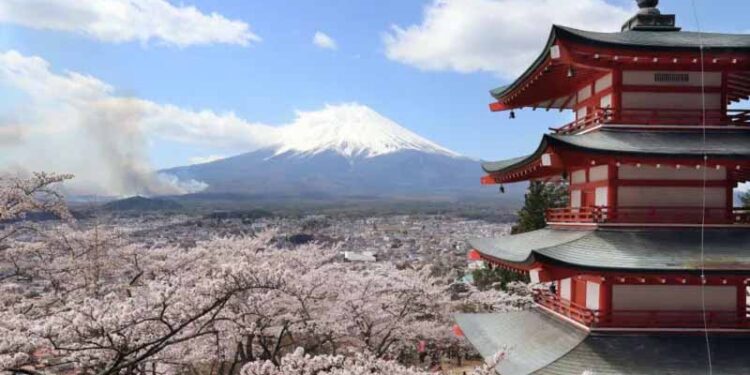 Japanese city cancels cherry blossom festival over badly behaved tourists