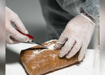 Mexico, El Salvador seize over 10 tonnes of cocaine amid deadly US strikes