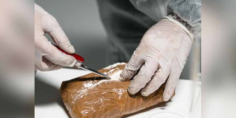 Mexico, El Salvador seize over 10 tonnes of cocaine amid deadly US strikes