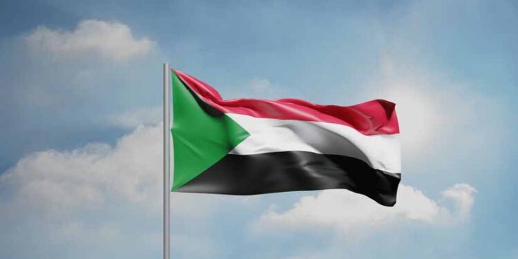 At least 6,000 killed over 3 days in RSF attack on Sudan's el-Fasher: UN 1 At least 6,000 killed over 3 days in RSF attack on Sudan’s el-Fasher: UN