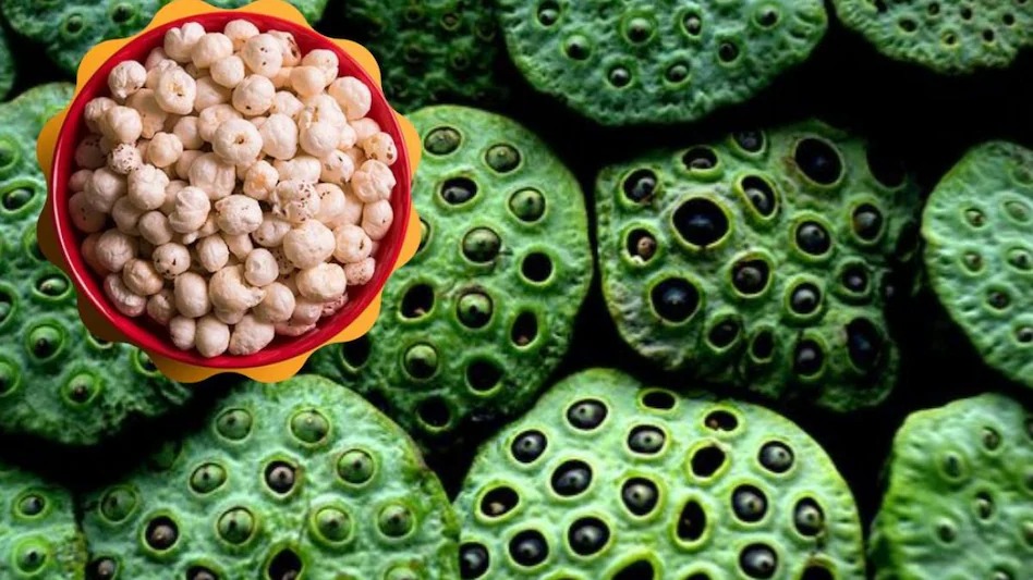 WhatsApp Image 2026 03 07 at 6.15.00 PM