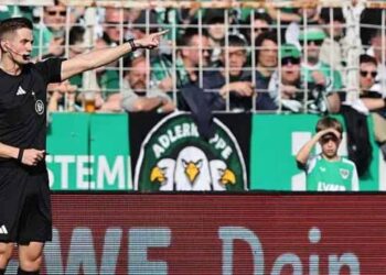 Masked fan unplugs VAR monitor in German match