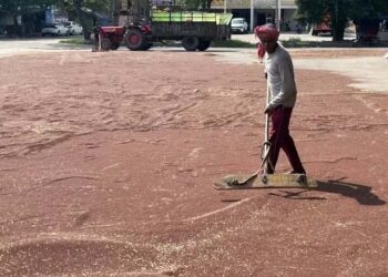 Nations race to secure enough fertiliser, prevent food crisis amid Iran war