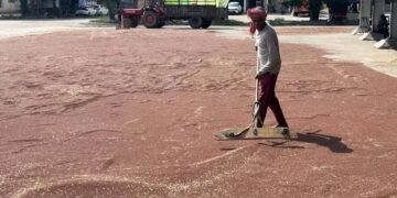 Nations race to secure enough fertiliser, prevent food crisis amid Iran war